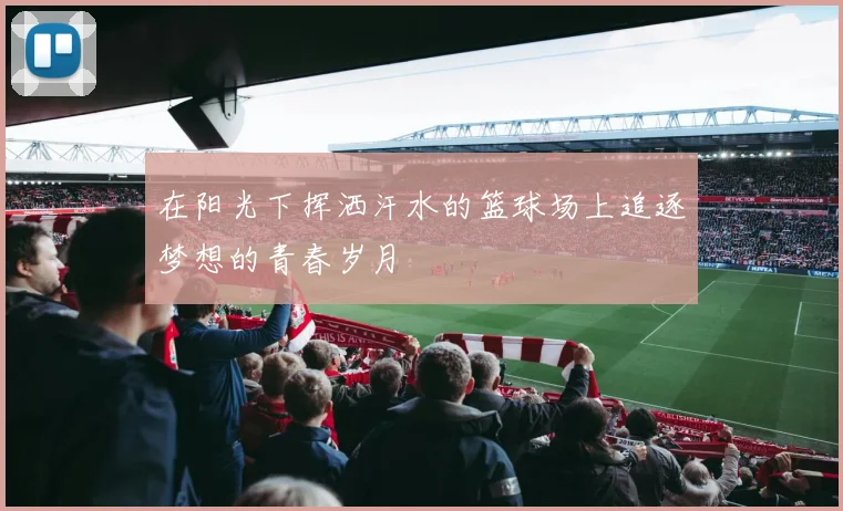 在阳光下挥洒汗水的篮球场上追逐梦想的青春岁月