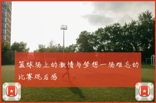 篮球场上的激情与梦想一场难忘的比赛观后感